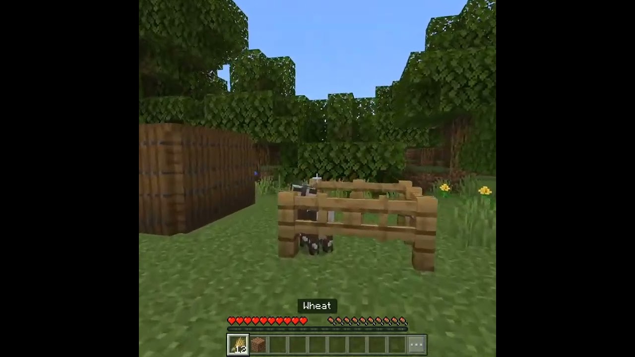 WAIT FOR ME! 😭❤️ #slowcraft #minecraft #memes