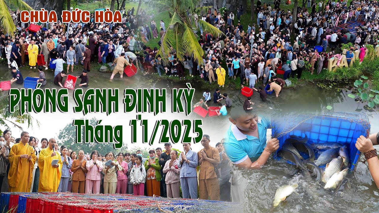 PHÓNG SANH ĐỊNH KỲ THÁNG 11/2025| Chùa Đức Hòa [16.11.2025]