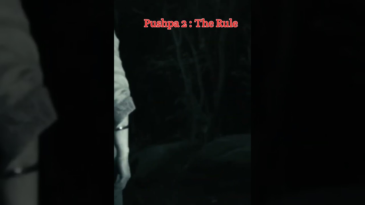 pushpa 2 The Rule | Pushpa 2 Trailer 