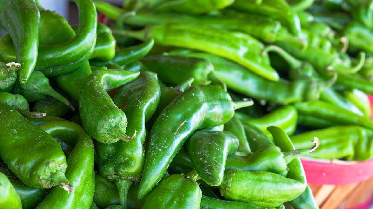 The Chile Pepper Institute @ New Mexico State University