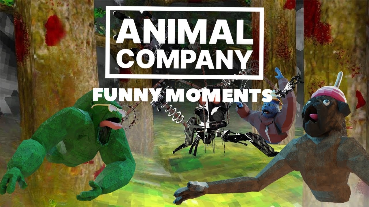 Hilarious animal company funny moments