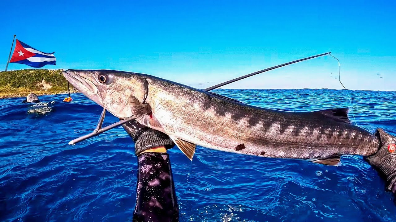 "Como Buscar Comida en CUBA🇨🇺 🤔 ?