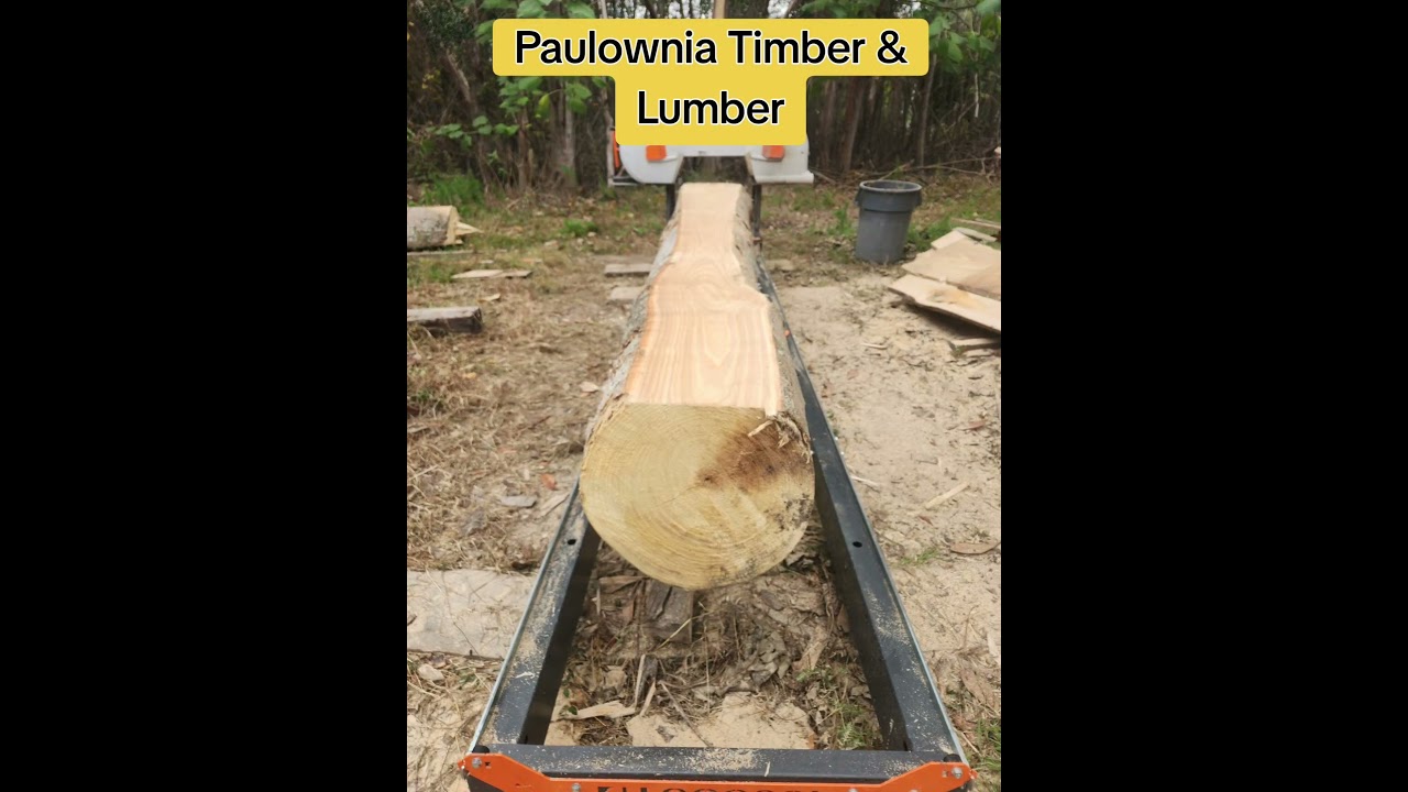 Paulownia Timber and Lumber from South Carolina #diy #wood #paulowniatimber #kiri #empress #paulowni