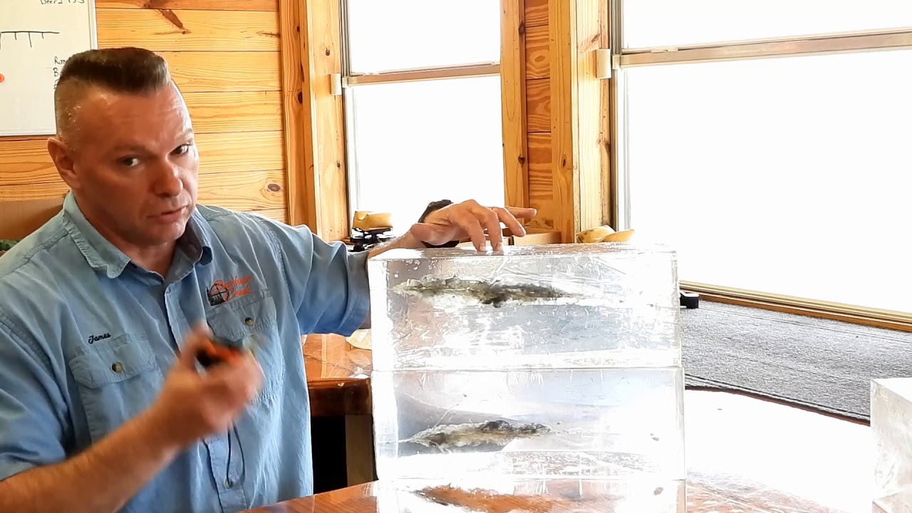 Hornaday VS Berger Bullets 20% Gel