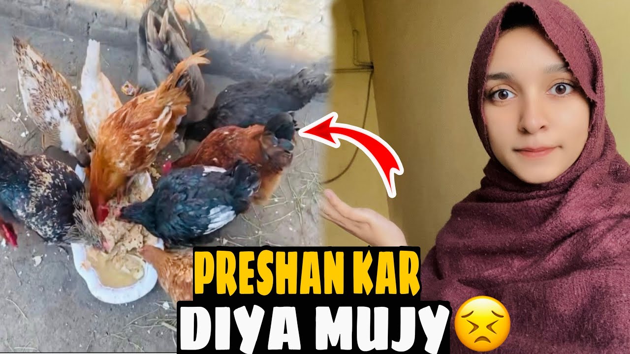 😭Чоту Ганг Най Муджи Прешан Кар Дия😓😣| ГуламЗахра | ChotuGang#ghulamzahraa #dietitianghulamzahra