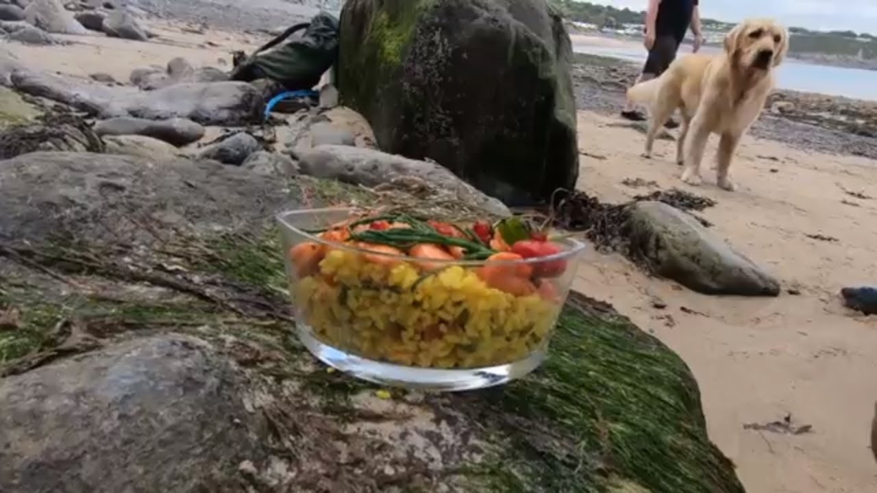 A Family Day Out ,Foraging and Cooking on the Beach with Craig Evans