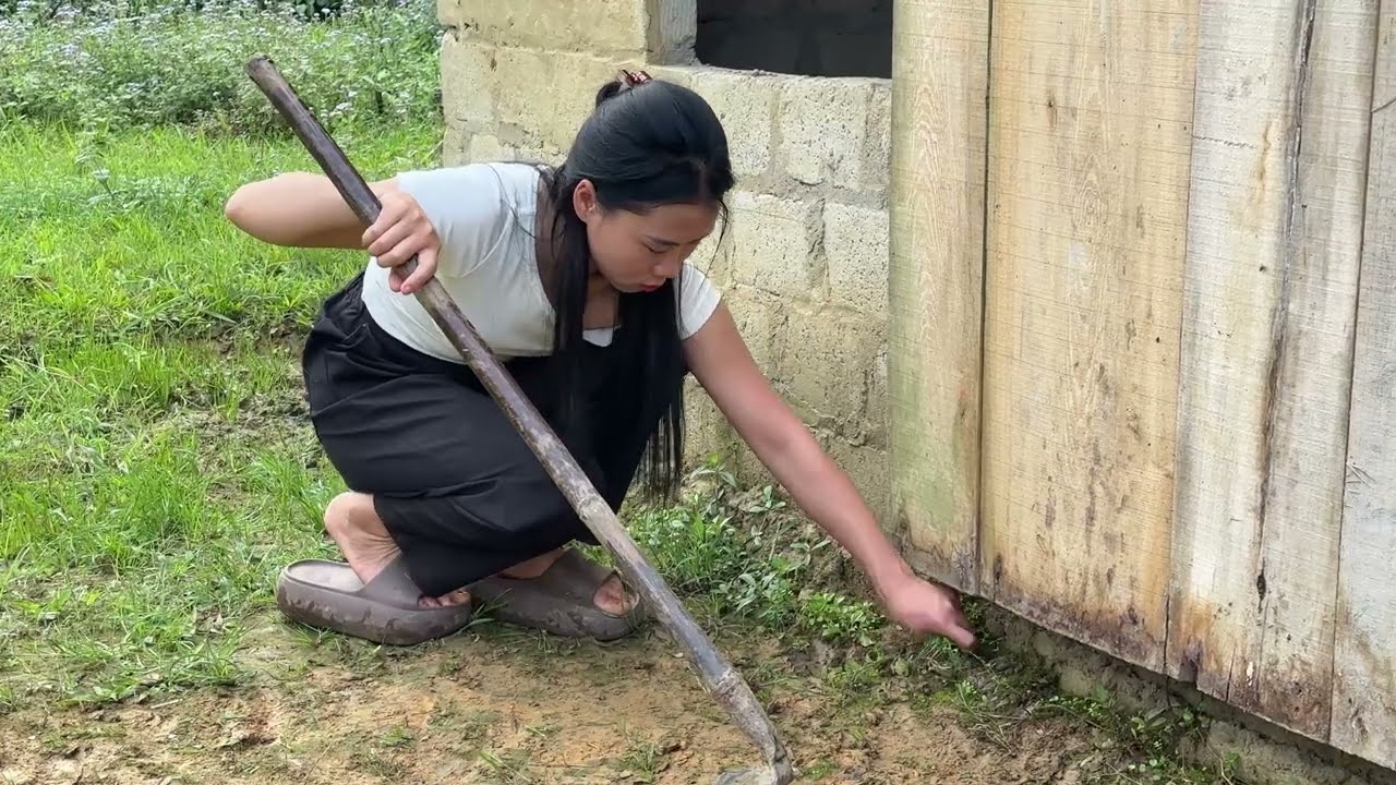 What surprises await the girl who takes on the challenge of living in an abandoned house for a day?