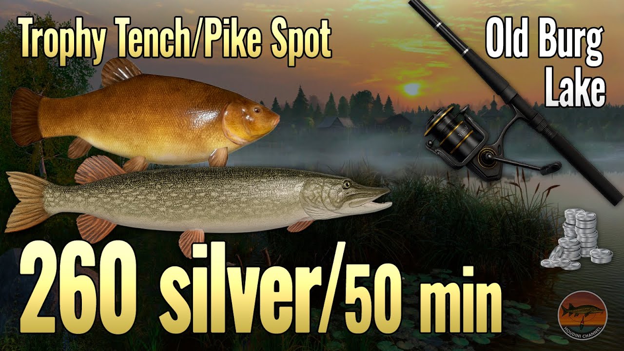 🏆 RF4 Old Burg Guide: 2 PRO Spots for Trophy Tench (Feeder) & Pike (Spinning)!