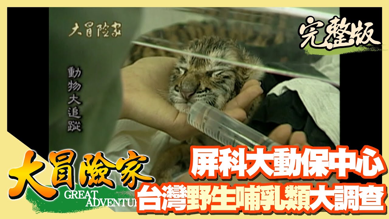 【大冒險家】南台灣野生哺乳類動物大追蹤（屏科大動物收容中心／清洗馬來猴籠舍／餵食紅毛猩猩／巧遇小老虎誕生／進行墾丁國家公園夜間觀察）│2000.04.17│23集完整版