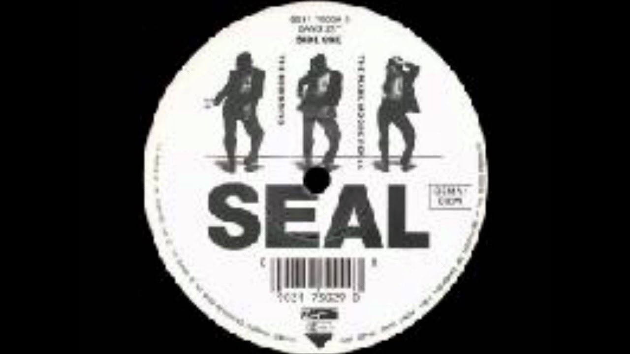 Seal-The Beginning (Mark Moore Remix).wmv