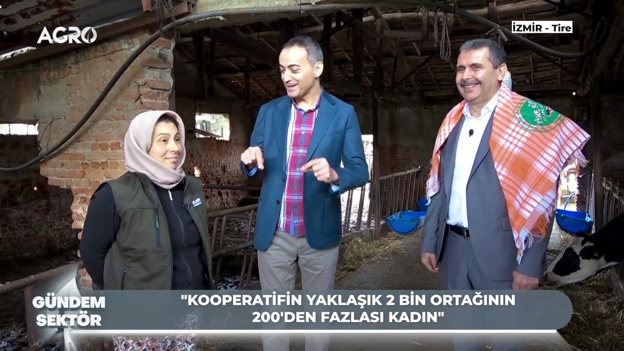 Türkiye’ye İlham Olan Model Tire Süt Kooperatifi! “Sütü Satabilir miyim?” Korkusu Bitti