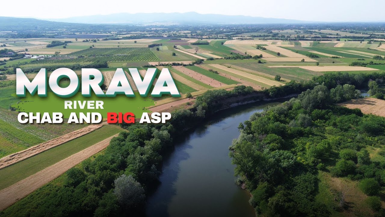 Varaličarenje na Moravi-Klenovi i veliki Bucov / Fishing at the Morava river–Chub and Big Asp