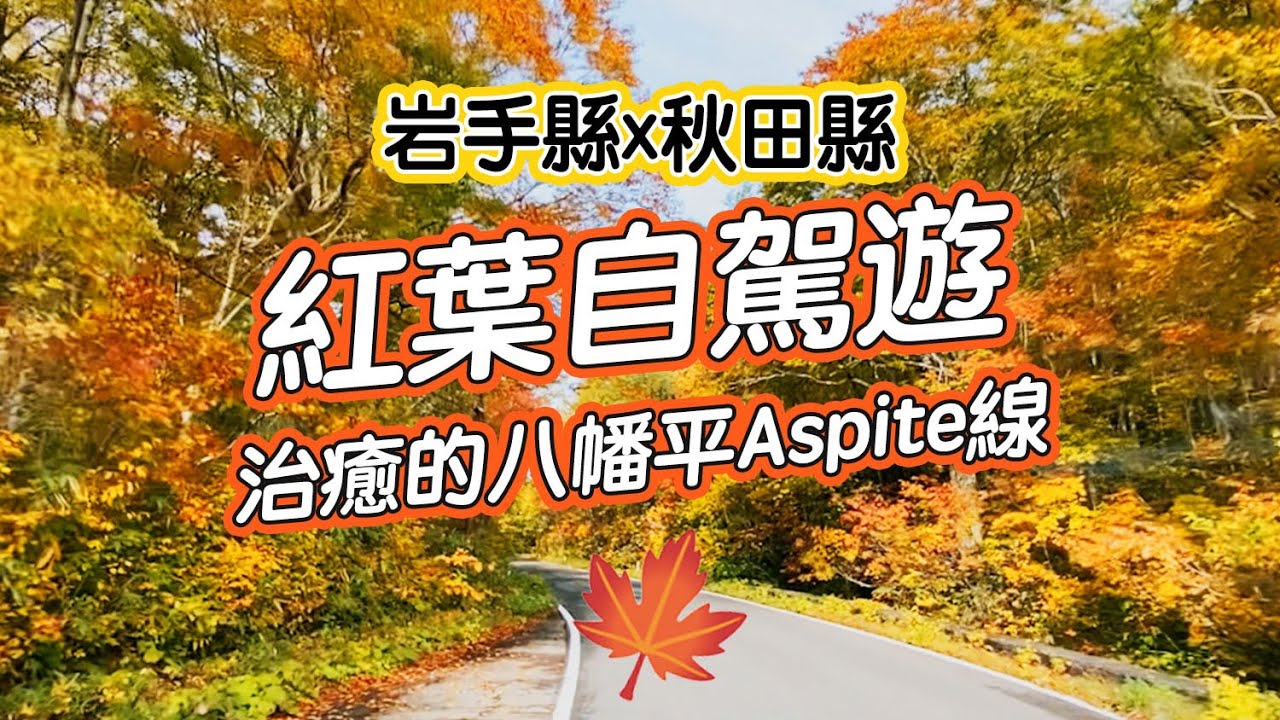 超治癒紅葉自駕遊🍁穿過絕美岩手縣與秋田縣：七彩繽紛的八幡平Aspite線 最新實況｜#日本旅遊 #日本 #日本生活