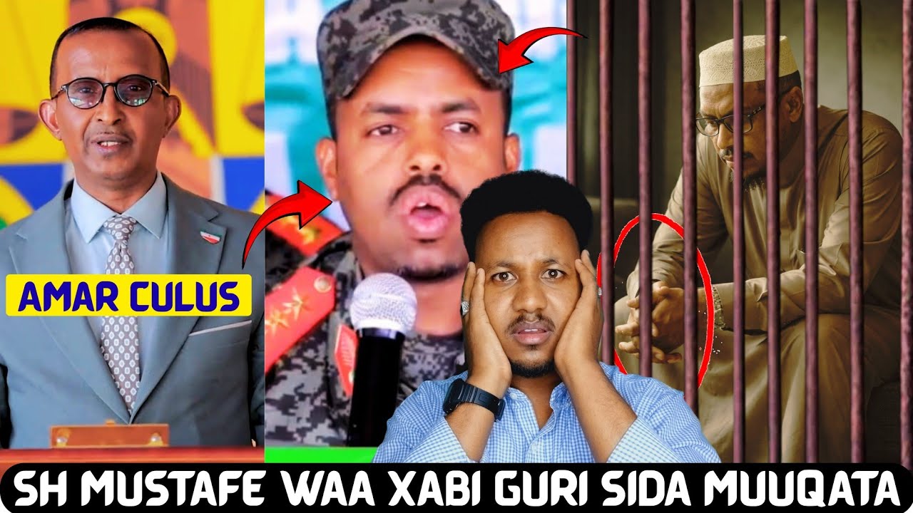 Sh Mustafe Waxaa Kusoo Wajahan Halis Weeyn iyo Gu'aanka Kasoo Baxaya Golaha Waziirada Ee Somaliland 