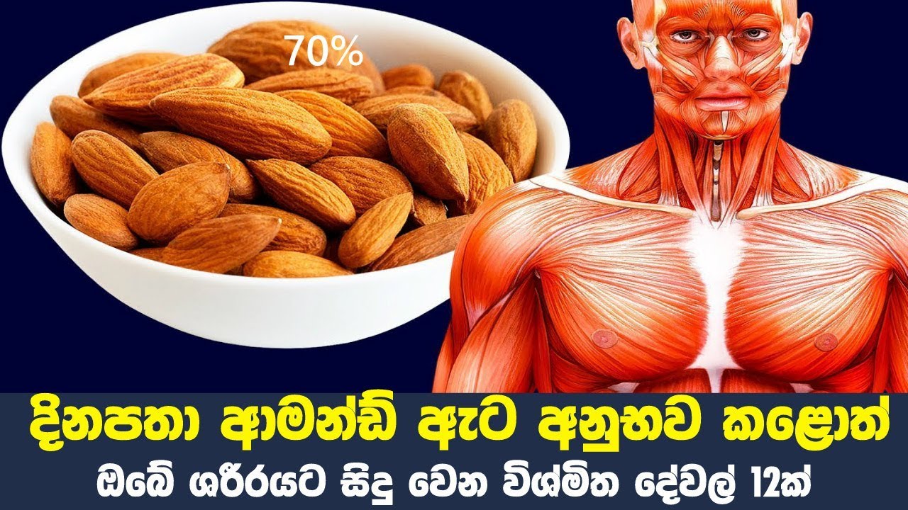 දිනපතා ආමන්ඩ් ඇට අනුභව කළොත් ඔබේ ශරීරයට සිදු වෙන විශ්මිත දේවල් 12ක් | 12 Health Benefits of Almonds