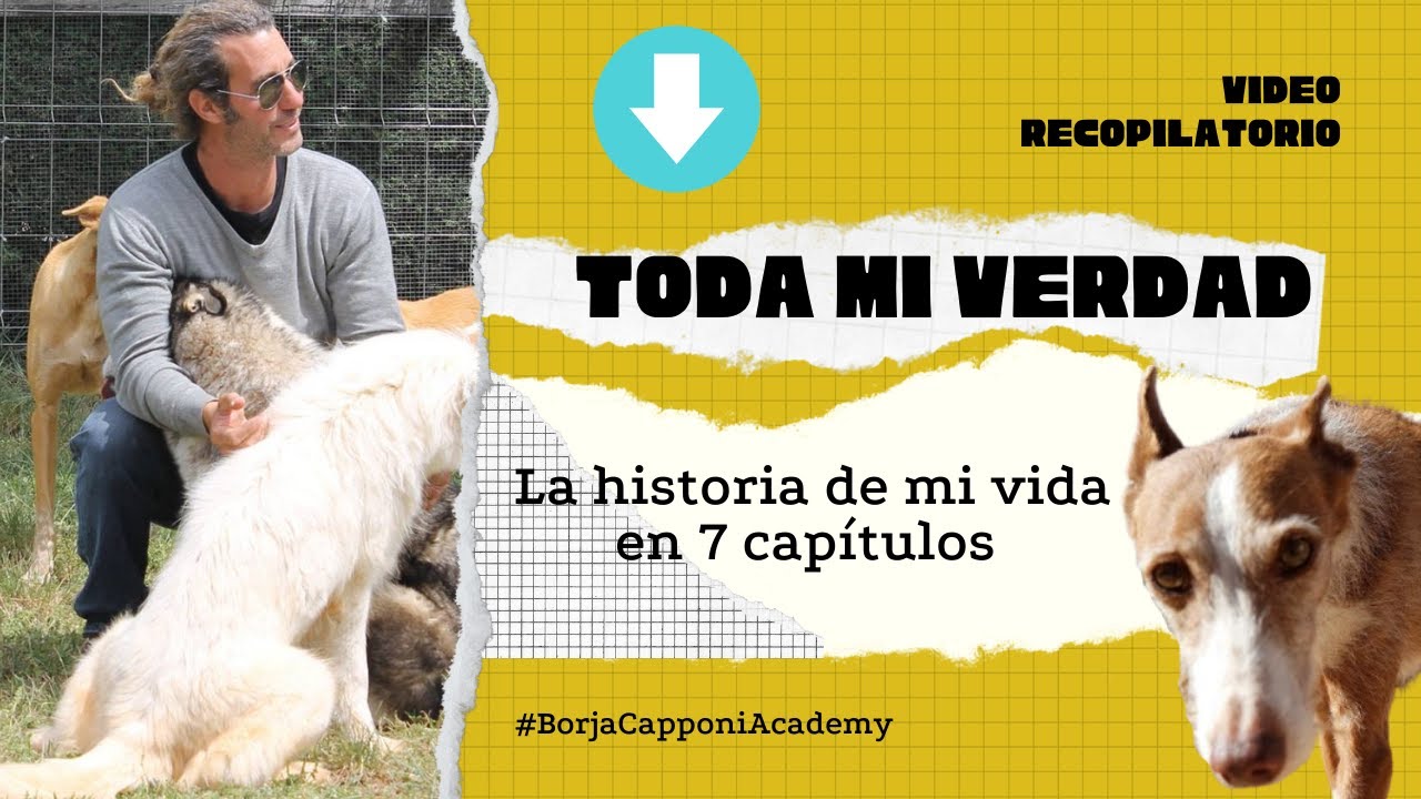 LA HISTORIA DE MI VIDA EN 7 CAPÍTULOS