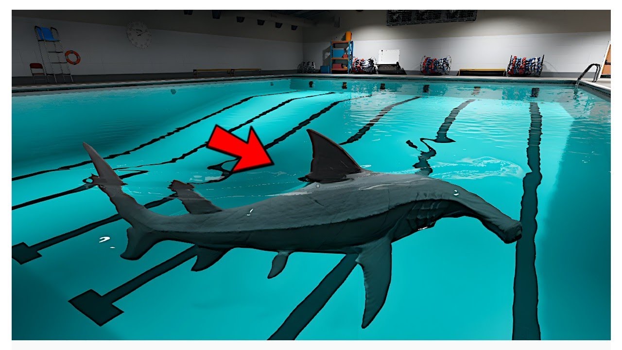 サメがいるプールを泳いで脱出するホラーゲーム【Sharks and Minnows】