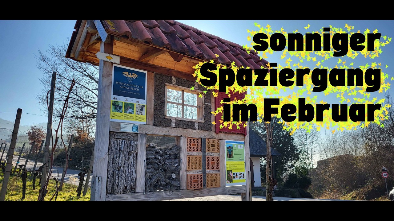 Spaziergang im Februar