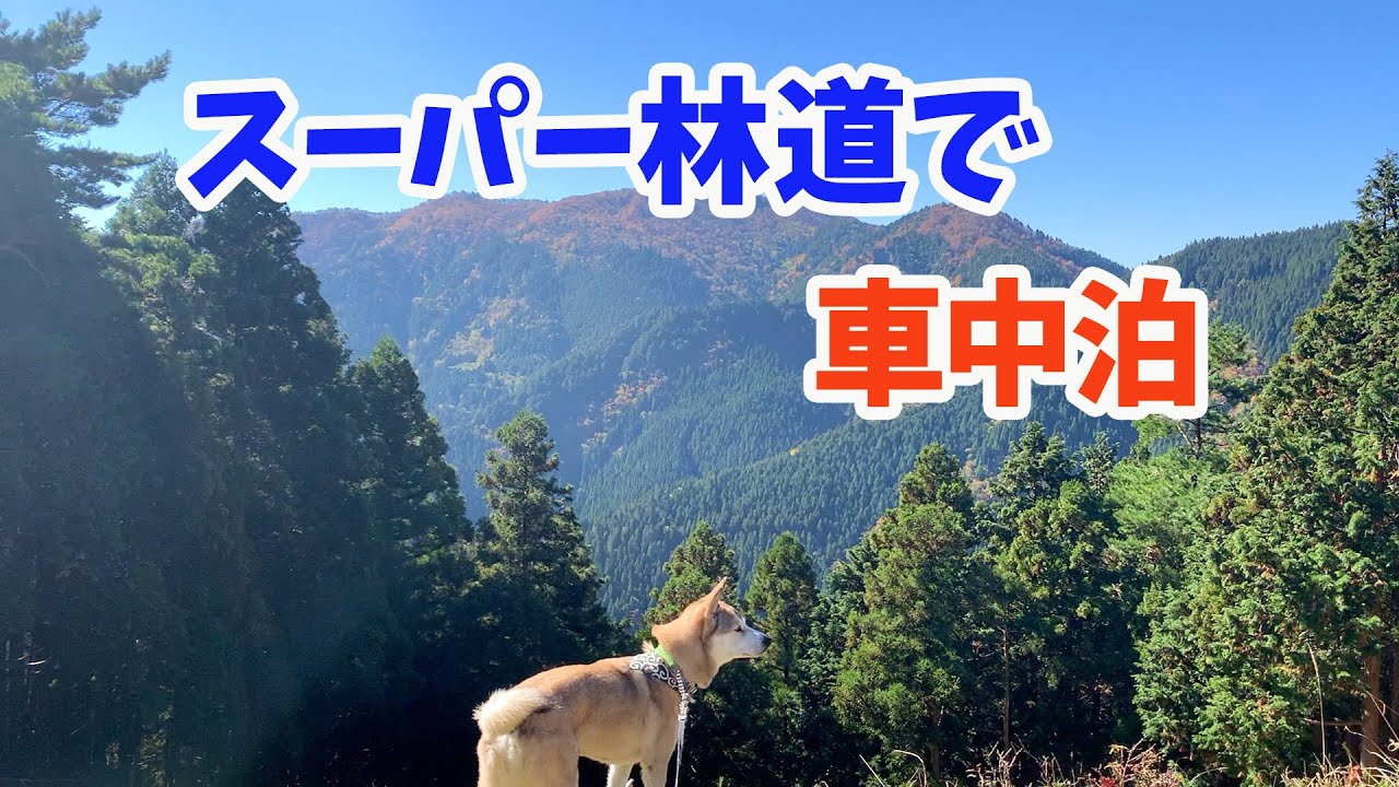 【デリカD5で行く剣山スーパー林道】初めてのダート道と誰もいない山奥でわんこと車中飯&車中泊の旅🚗⛰