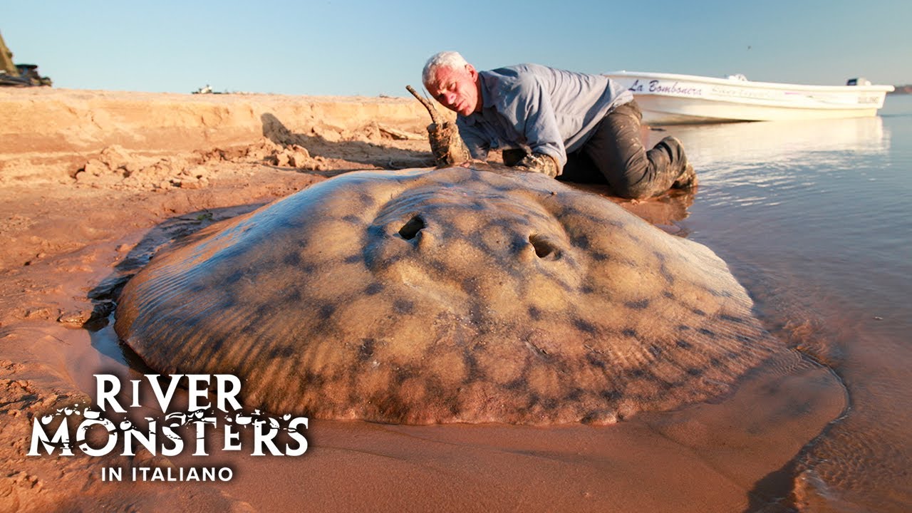 La PASTINACA GIGANTE d'Acqua Dolce - River Monsters ITA Episodio Completo - S02 E01