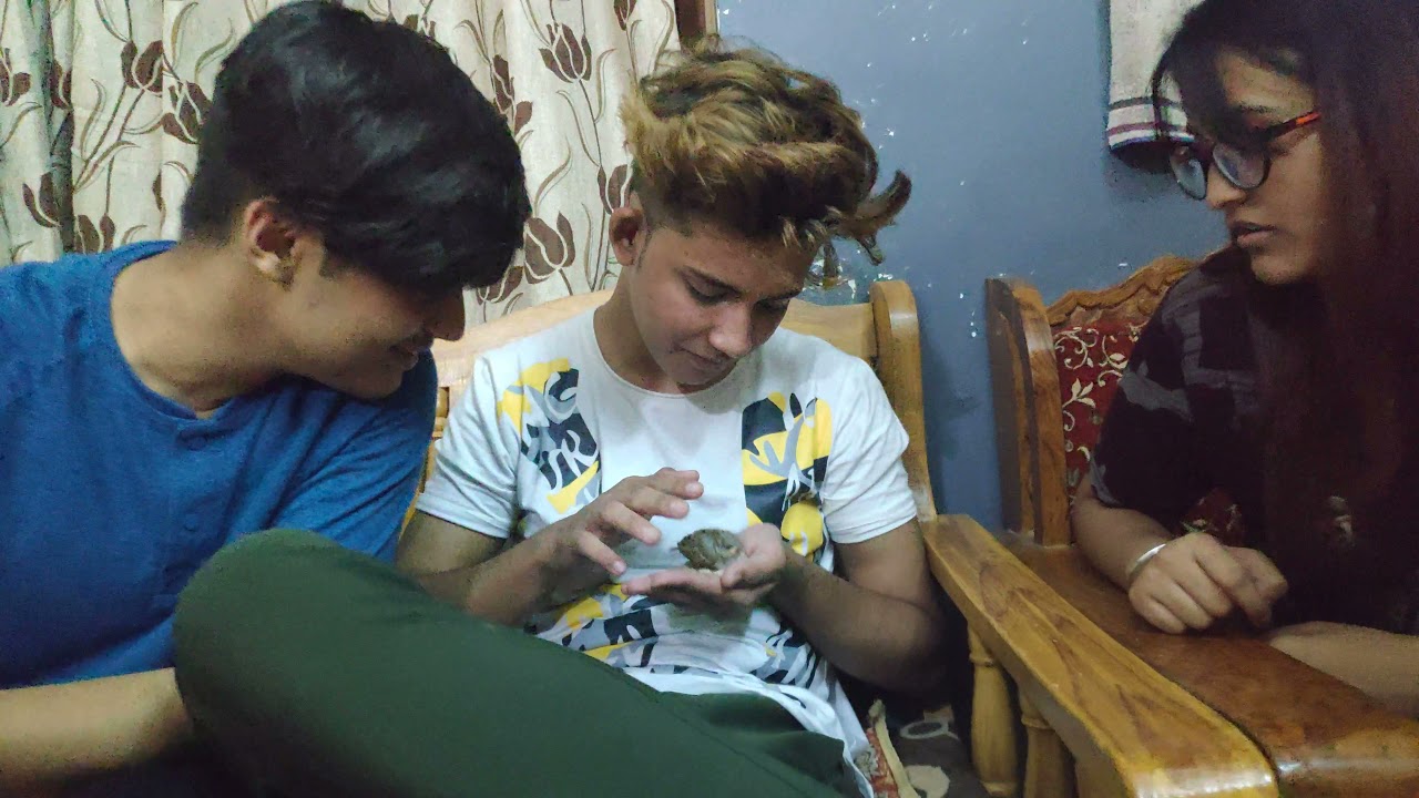 Deepak Joshi playing with a small bird in hands Akriti Agarwal feels scared || At Tej Rathore's home