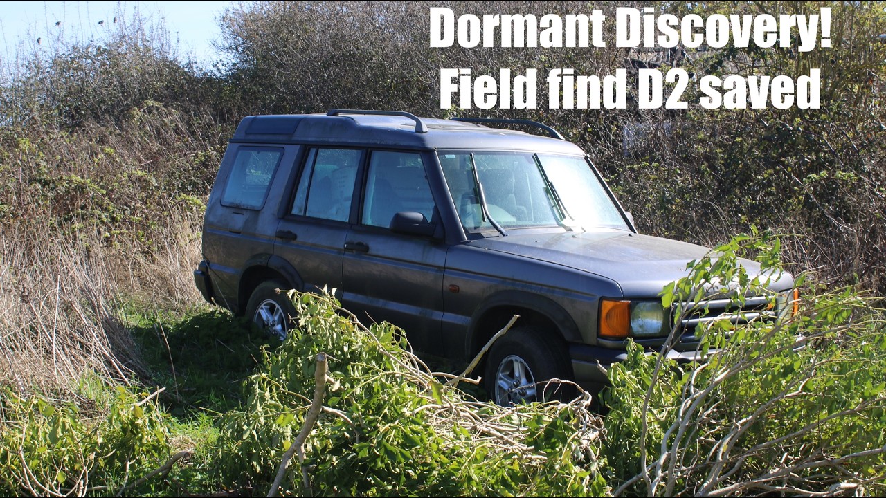 Спасение Discovery 2 Td5! Найденный в полевых условиях экземпляр разбудили и смыли.