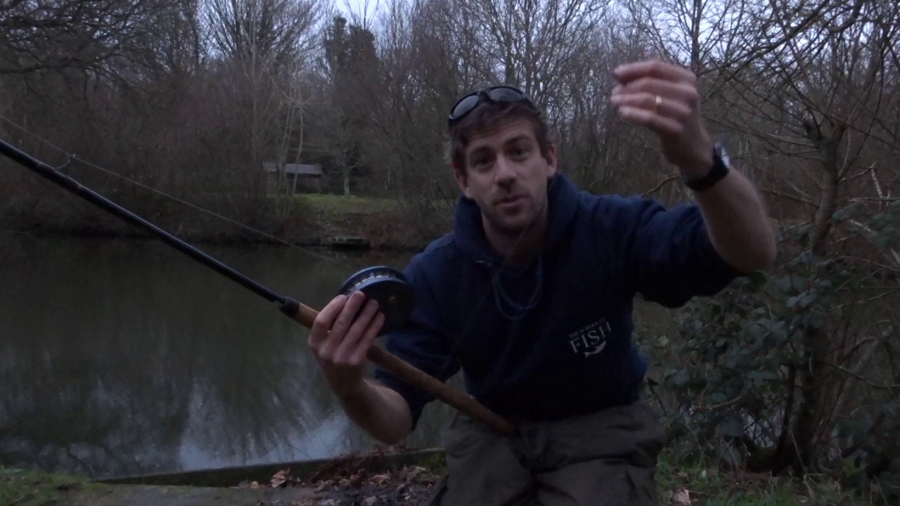 How do I catch Perch with Prawns? - The School Of Fish