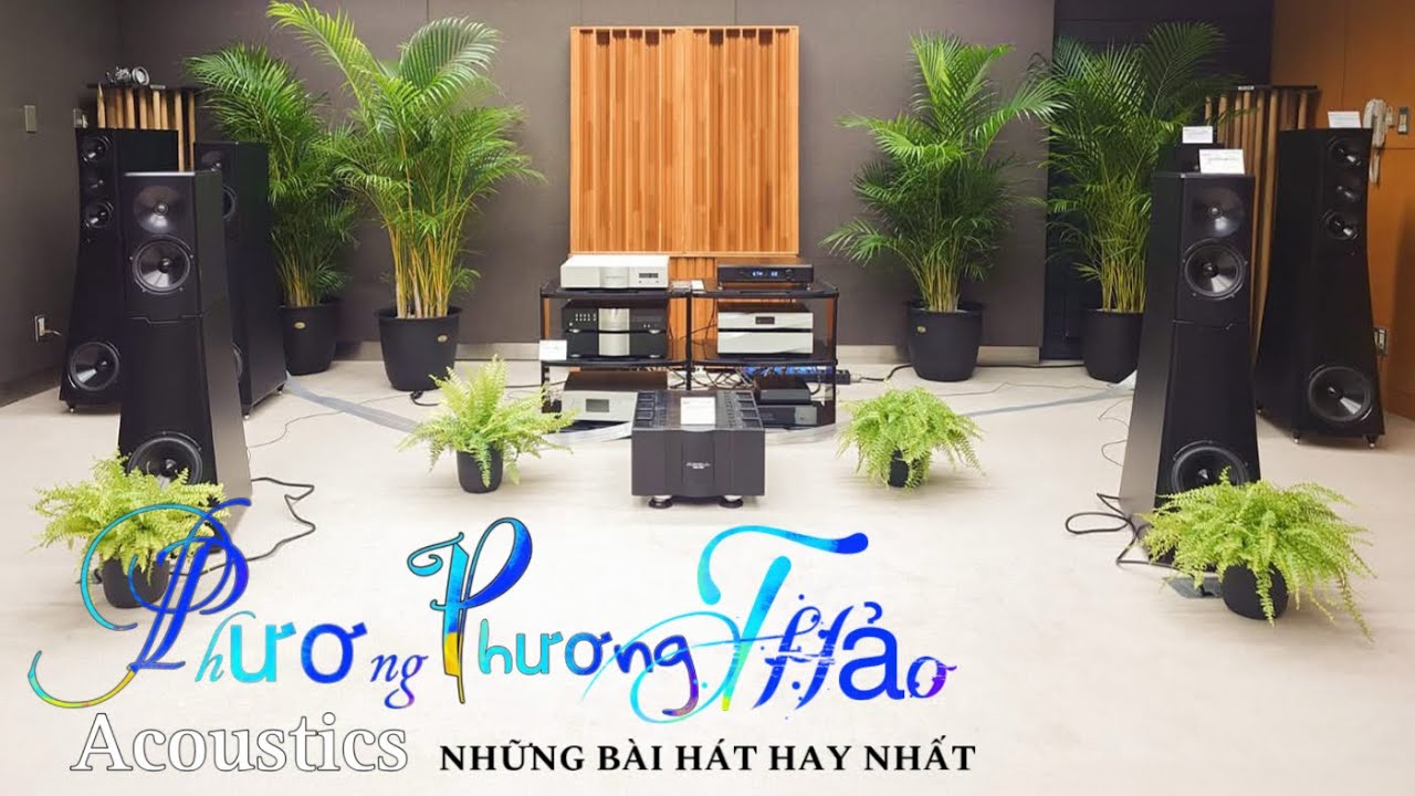 PHƯƠNG PHƯƠNG THẢO Acoustics | NHỮNG BÀI HÁT HAY NHẤT