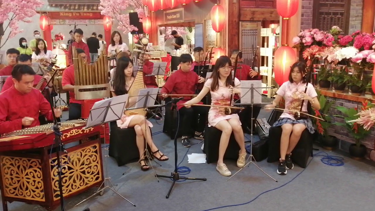《迎春花》