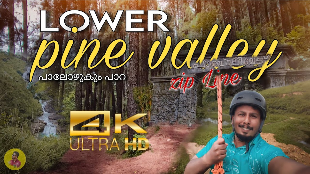 പുതിയ വാഗമൺ കാഴ്ചകൾ - 4𝗞!! VAGAMON PINEVALLEY, PALOZHUKUMPARA WATERFALL'S, PANCHALIMEDU ZIPLINE.....