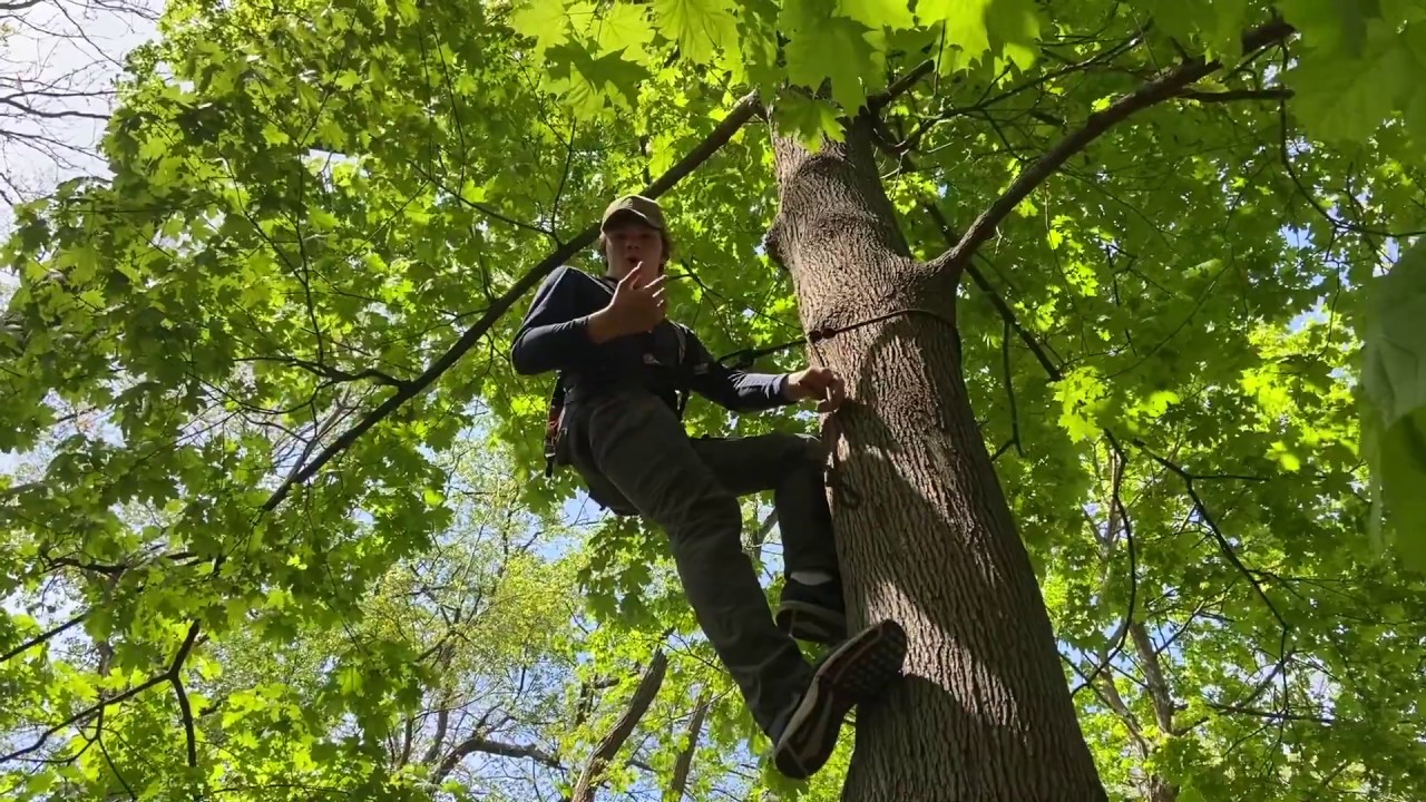 Ameristep step-up review and climb!