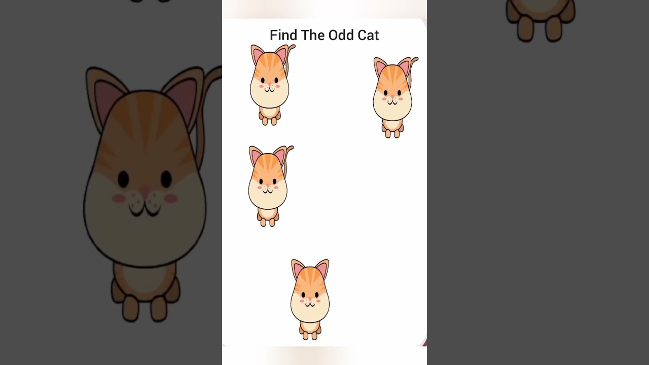 Only Few People Can Find The Odd Cat 9 