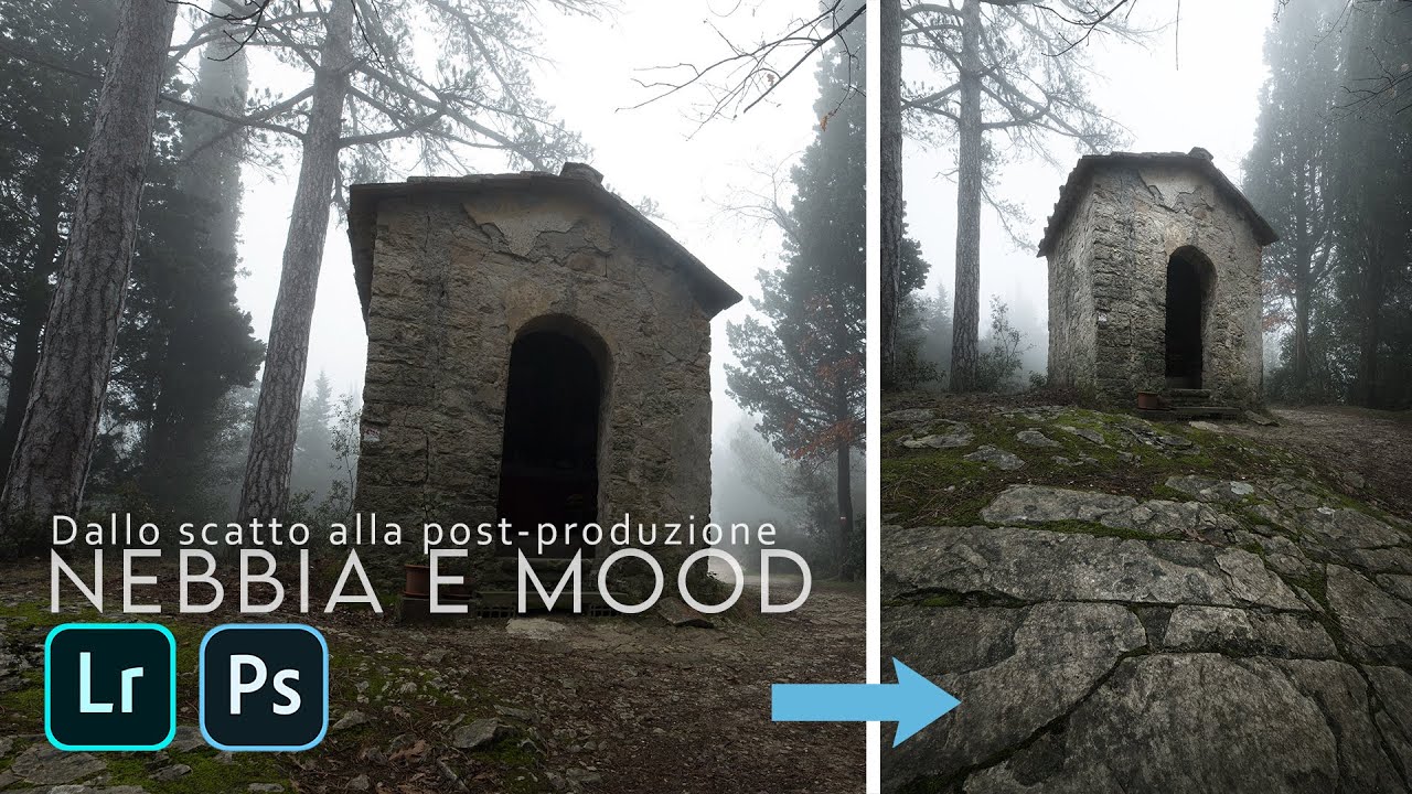 Dallo SCATTO alla POST-PRODUZIONE: in cerca di MOOD e NEBBIA | Focus stacking sviluppo raw completo