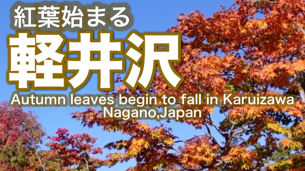 軽井沢の紅葉が始まる撮影日2024.10.21日Autumn leaves begin to fall in Karuizawa, Nagano, Japan