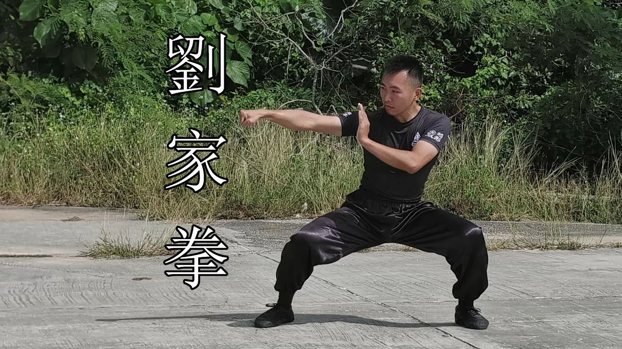 劉家拳 - 嶺南洪拳虎鶴派 | 4k60 | Lau Gar Kuen