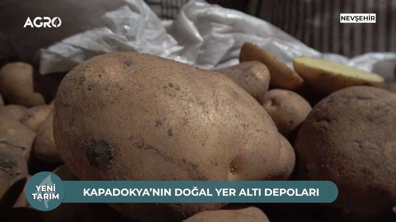 Patates Üretiminde Tohumun Önemi! Kapadokya'nın Doğal Yer Altı Depoları / Yeni Tarım
