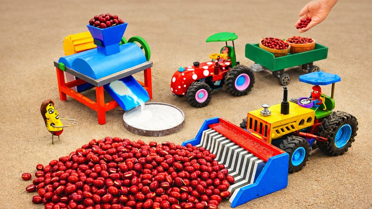 DIY Mini Tractor making Red Bean processing machine | Science Project | @MiniTractorCoco