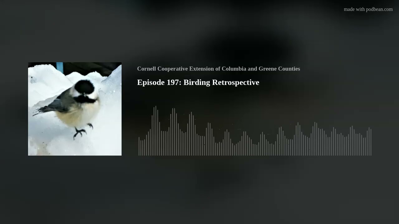 Episode 197: Birding Retrospective