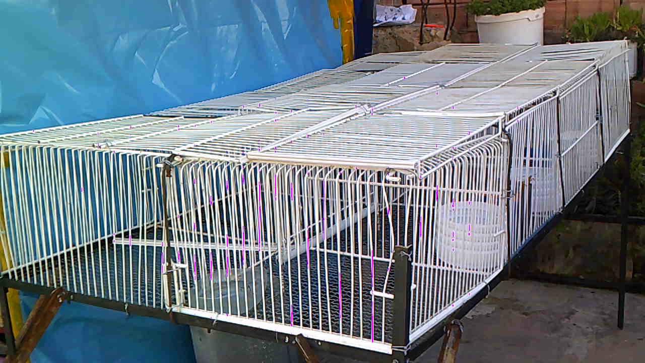 طريقة صنع قفص أو بطارية للتسمين للمبتدئين// و قفص الولادة  How to make a cage for rabbits