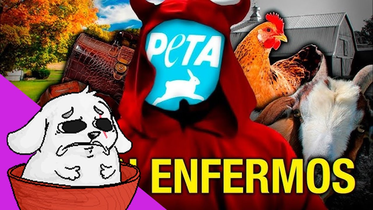 Huntleo reacciona a 