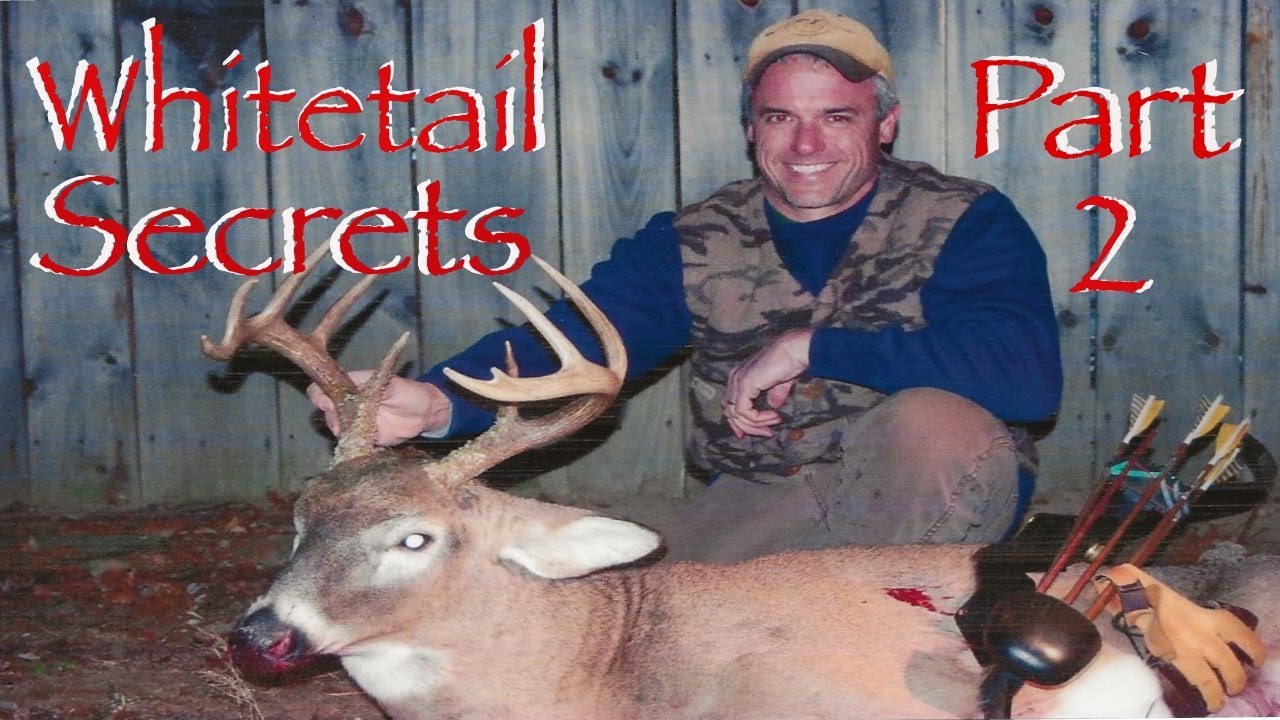 Whitetail Secrets Part 2/50 Years of paying attention to whitetails