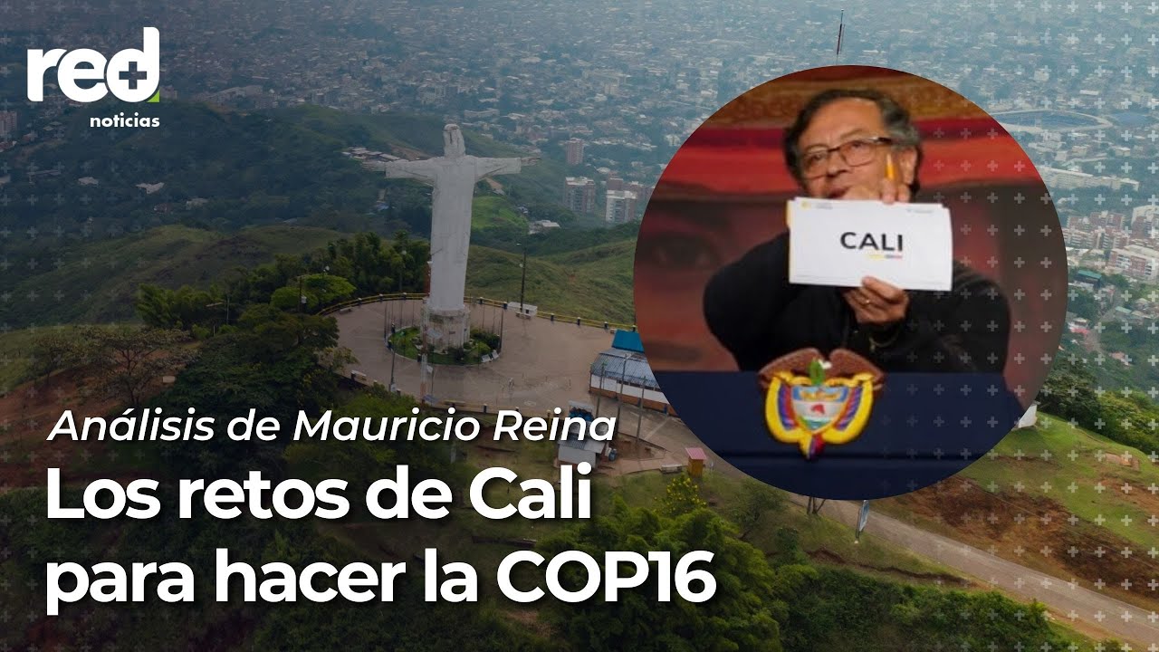 Furor en Cali: será sede de la COP16 sobre biodiversidad, pero tiene varios retos | Red+