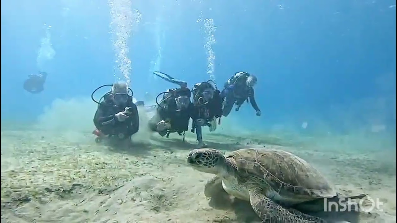 Best friends   