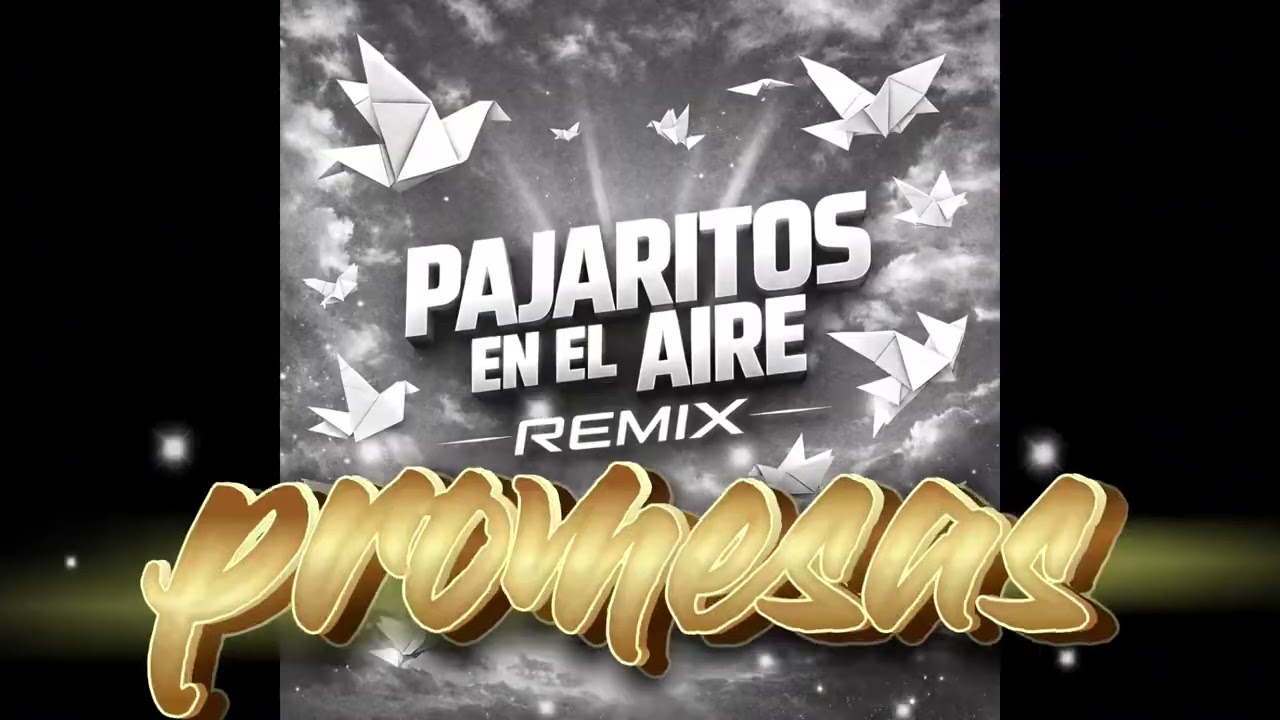 PAJARITOS EN EL AIRE-FUMUKEJO(Cover)