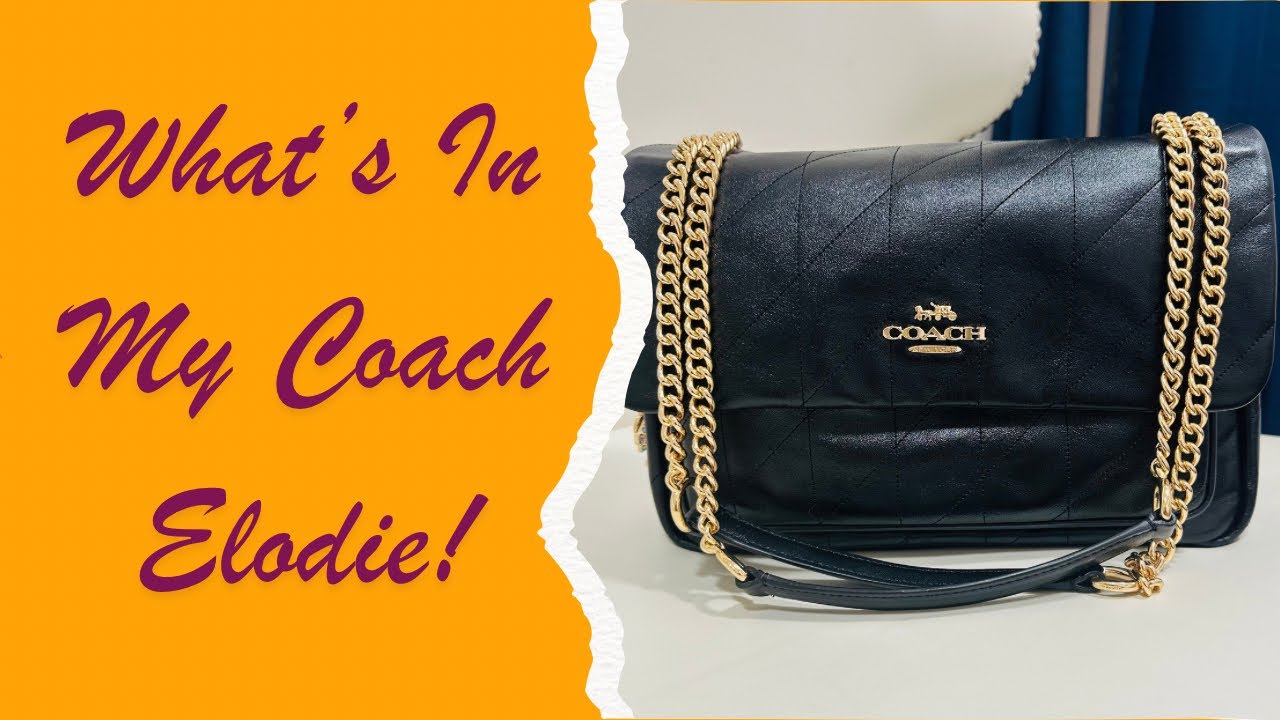 Что у меня в сумке! Coach Elodie! 🔥❤️