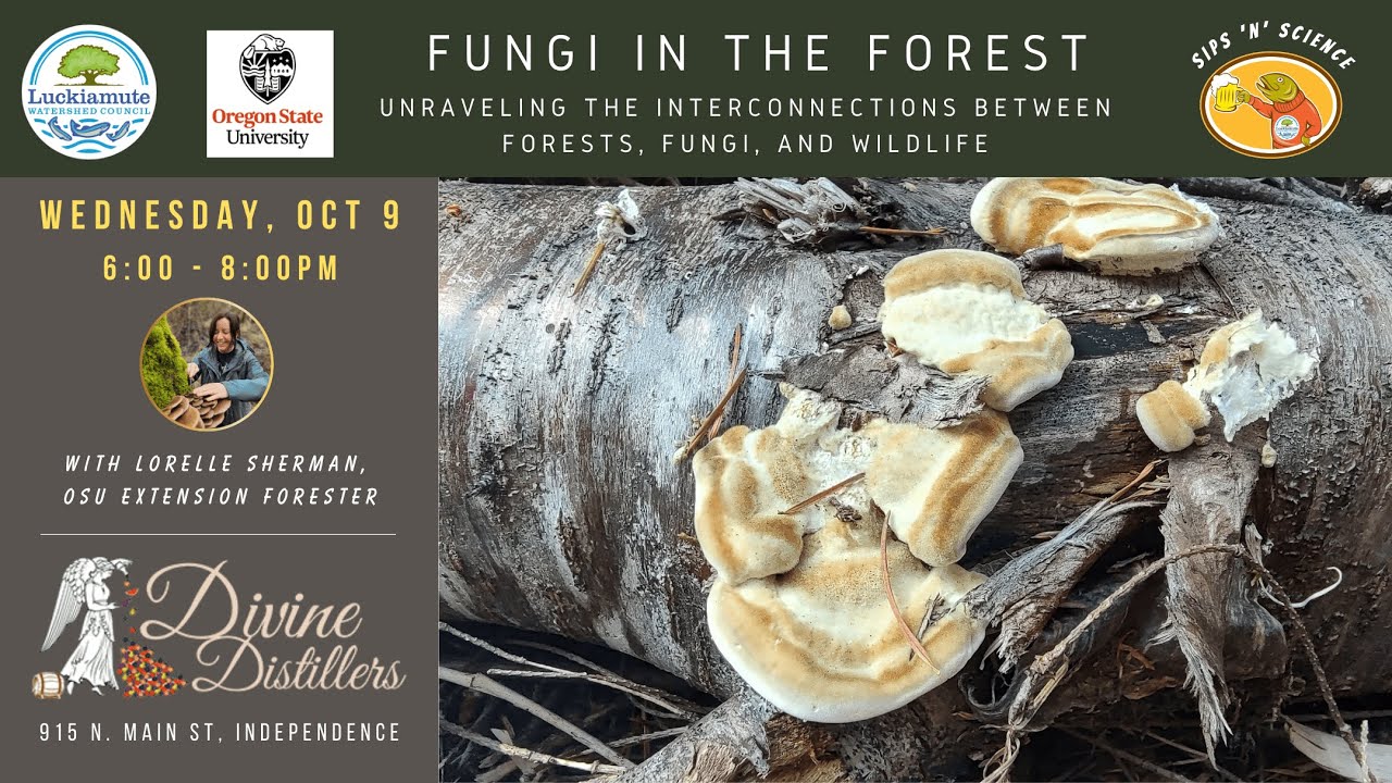 Fungi in the Forest: Unraveling the interconnections of forests, fungi & wildlife