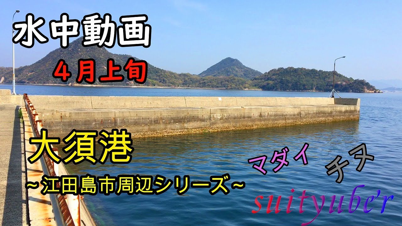 釣り人目線の水中動画　大須港（江田島）4月