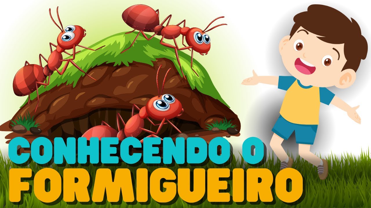 Conhecendo o Formigueiro | Historia Infantil | Historia Infantil sobre Natureza