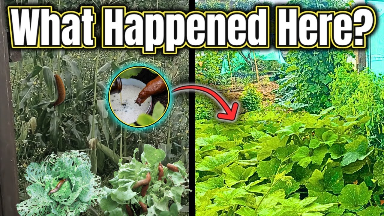What Happens When You Step Away From the Garden