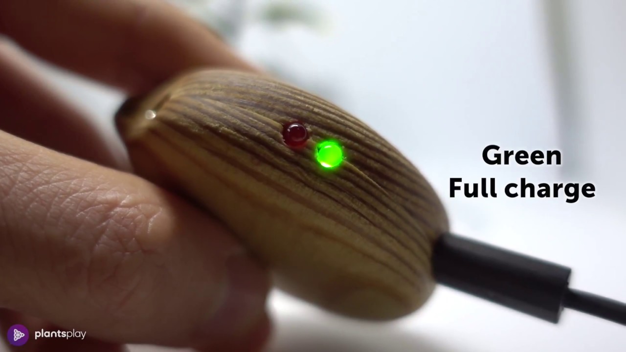 How to charge the Plants Play